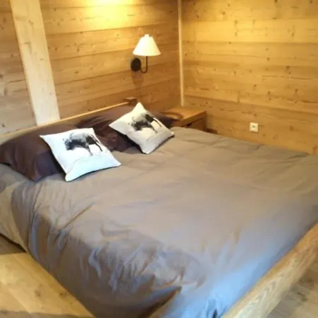 28 Etoiles De Vonnes Chalet Châtel
